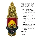 WhatsApp Image 2026-03-28 at 2.24.18 PM.webp