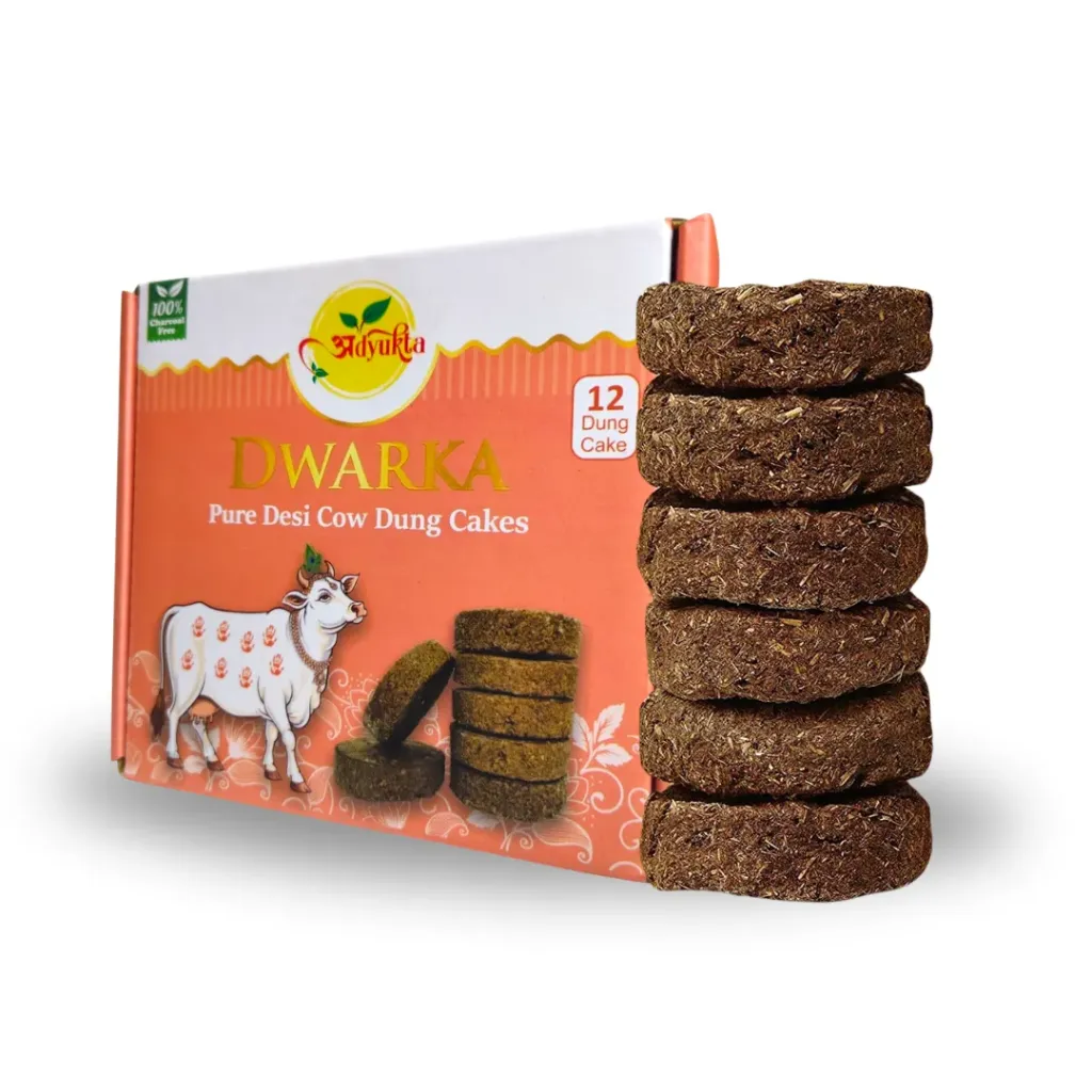 Cow Dunk Cakes (12Pcs 1 Pack)